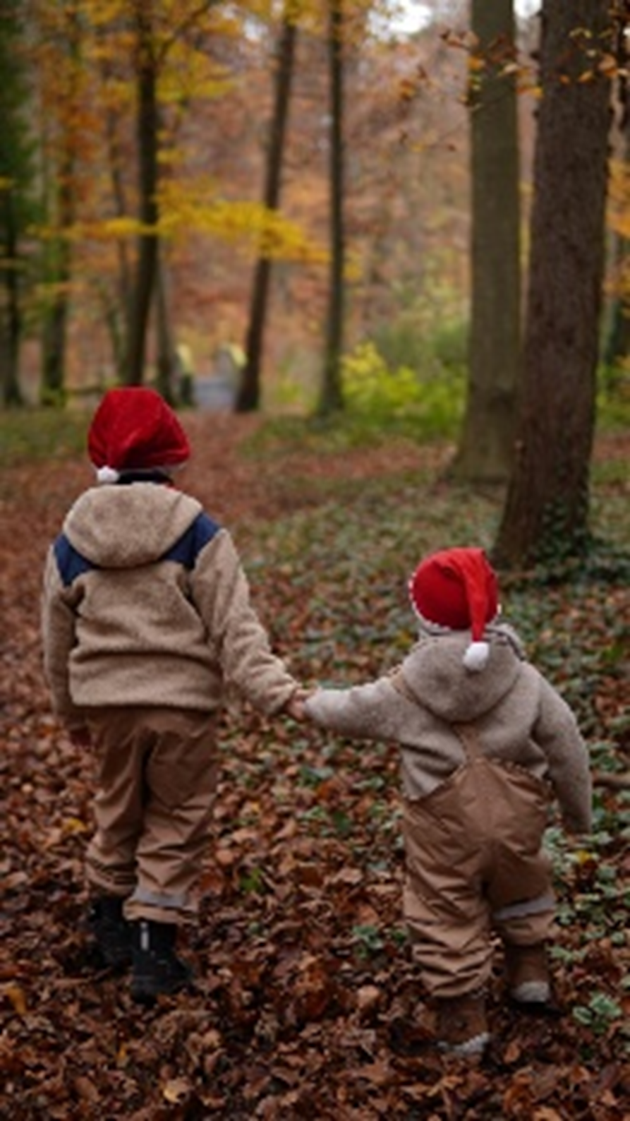 Children holding hands in the woods