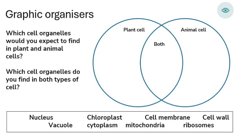"Graphic organisers"