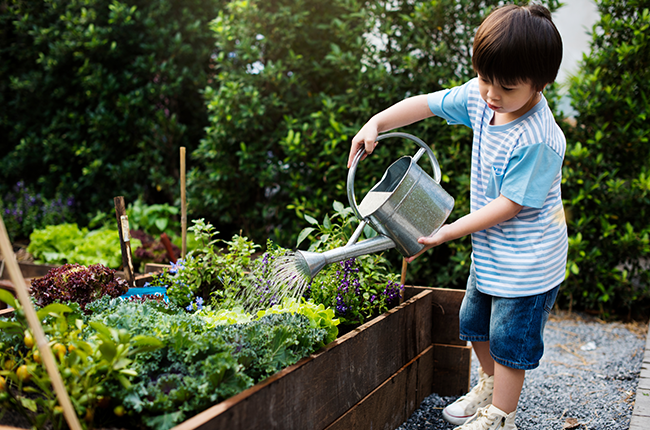 Little boy watering plants