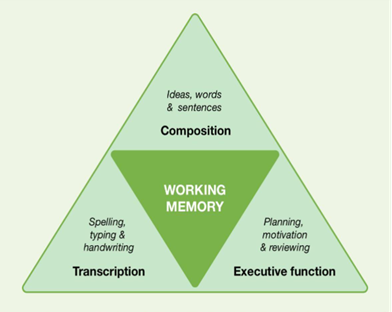 Working memory: Composition/Transcription/Executive function