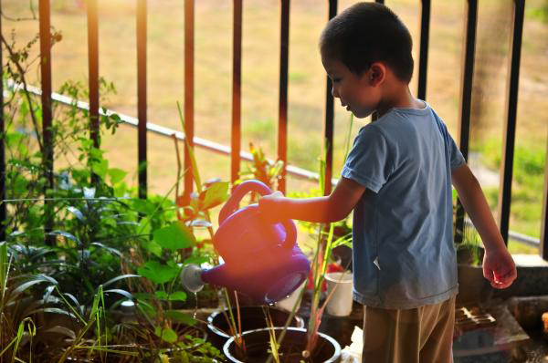 Early Years boy with watering can