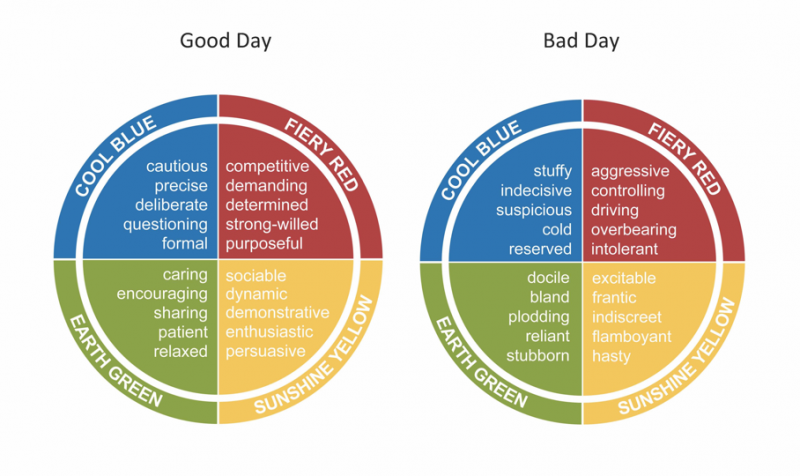 Insights discovery good day bad day