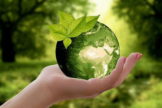 Green Earth in hand