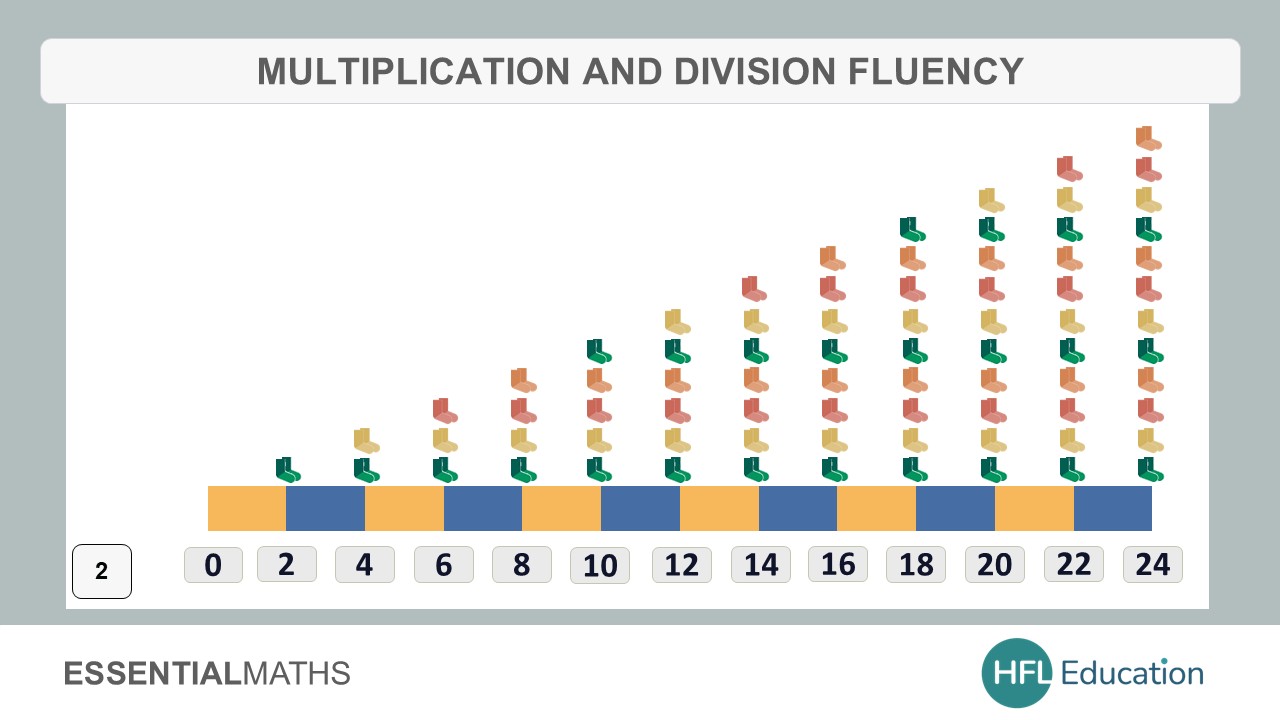 Multiplication and dividion fluency