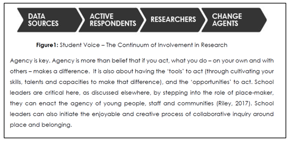 "Data sources > active respondents > researchers > change agents