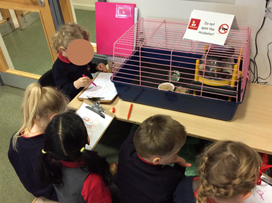 Children with chicks in cage
