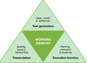 Working memory pyramid
