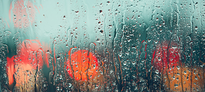 poppies through rain