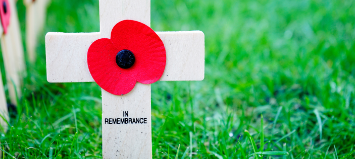 Poppy on cross in grass