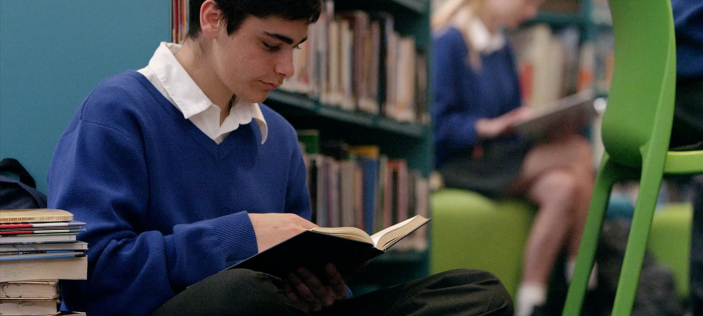 Blue in blue school uniform reading a book