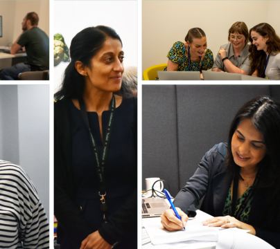 collage of HFL staff
