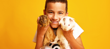 Keeping animals in school Child holding pets on yellow background