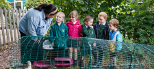 teacher with a group of children outside