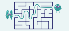 diagram of full stops