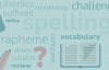 words denoting vocabulary on a green background
